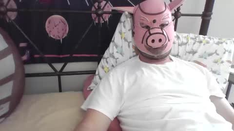 Snapshot of piggyplaypen chatting on May 2026 07:32:01 PM piggyplaypen online show from May 2026 07:32:01 PM