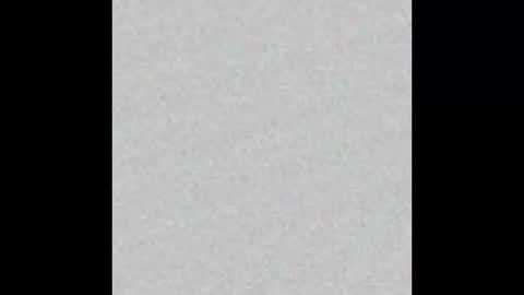 Privet online show from March 2026 09:47:01 AM