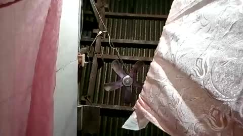 Snapshot of pinaybobs chatting on March 2026 08:48:01 PM pinaybobs online show from March 2026 08:48:01 PM