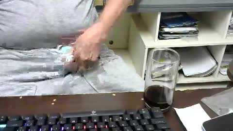 pinheiro86 online show from November 2025 11:22:01 AM