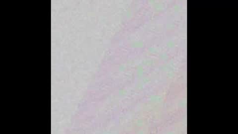 Tash online show from November 2025 08:51:05 AM