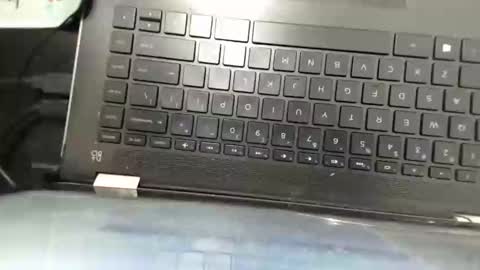 Rose online show from February 2025 11:00:01 PM