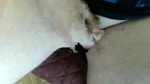 Snapshot of pippo2704 chatting on January 2025 03:47:01 PM pippo online show from January 2025 03:47:01 PM