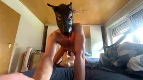 Snapshot of playdog123 chatting on September 2025 11:56:02 AM playdog123 online show from September 2025 11:56:02 AM
