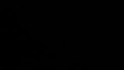 playerboybunny online show from December 2025 09:03:01 AM