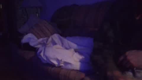 Snapshot of playerpleasure chatting on April 2026 10:02:01 AM playerpleasure online show from April 2026 10:02:01 AM