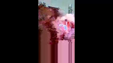 Snapshot of plumber336652 chatting on May 2026 12:30:01 AM plumber336652 online show from May 2026 12:30:01 AM