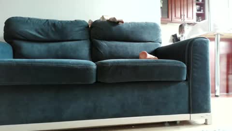 Snapshot of pokusss chatting on January 2026 01:05:01 PM pokusss online show from January 2026 01:05:01 PM