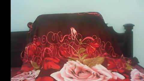 Snapshot of pornojedigoa chatting on January 2025 04:44:01 AM Koko Lar online show from January 2025 04:44:01 AM