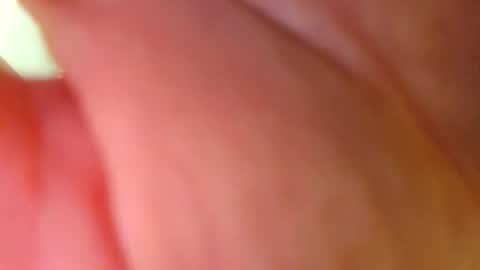 Big Dick online show from February 2026 10:14:01 AM