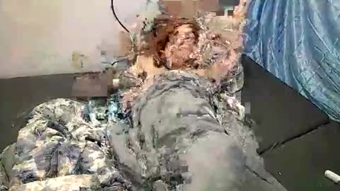 ppiu9 online show from December 2025 09:36:02 AM