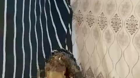 pretty705007 online show from March 2026 12:26:02 AM