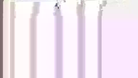 Princess Asshole online show from April 2026 12:22:02 PM