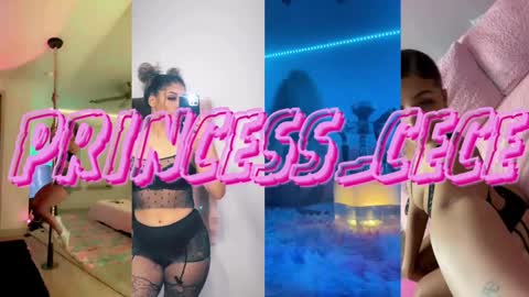 Cece  NEXT LIVESTREAM -- DEC. 4th  7 PM CST online show from January 2025 12:48:02 AM