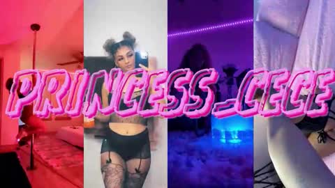 Cece  NEXT LIVESTREAM -- DEC. 4th  7 PM CST online show from February 2026 09:04:01 PM