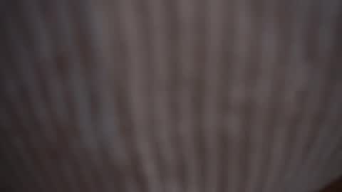 Assi  Incognito girl online show from February 2025 11:14:02 AM