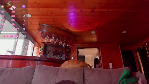 Cori online show from December 2024 02:00:01 PM