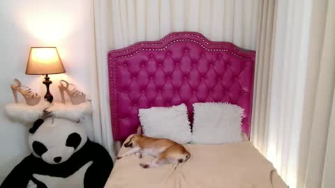 princessyanzy1 online show from September 2025 05:57:01 PM