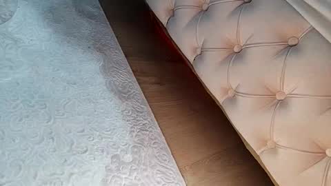 prinzkail643 online show from February 2026 02:55:02 PM