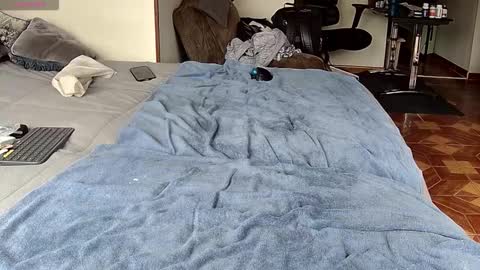 Probardetodo independent model online show from February 2026 01:42:02 PM