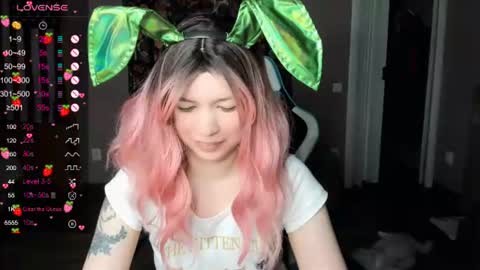 Di online show from July 2026 03:28:01 PM