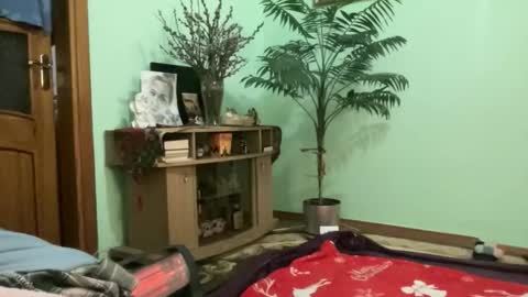 proud sweet 21 online show from March 2026 11:42:01 PM