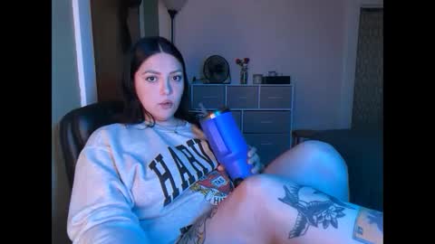 Pumpkin bunny online show from September 2025 02:33:01 AM