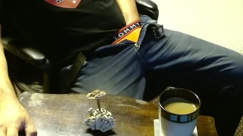 Jojo online show from October 2025 12:31:01 AM