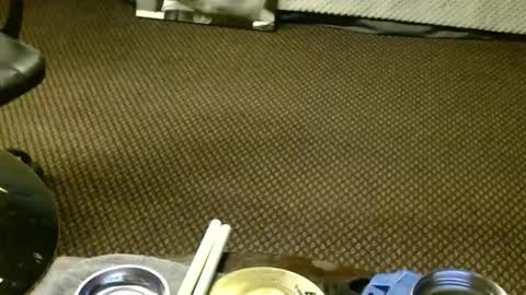 Jojo online show from November 2025 06:46:01 AM