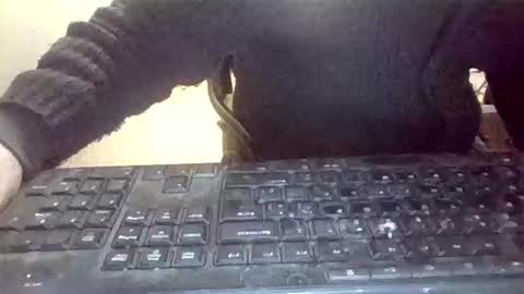 Snapshot of pup_y chatting on January 2026 07:11:01 PM pup_y online show from January 2026 07:11:01 PM