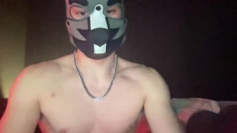 Snapshot of puptravel chatting on January 2026 03:01:02 AM puptravel online show from January 2026 03:01:02 AM