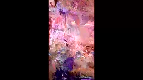 pussycat1331 online show from April 2026 07:44:02 AM