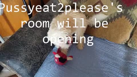 Rick online show from March 2025 09:33:02 AM