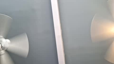 pussylicker517038 online show from September 2025 07:35:02 PM