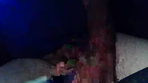 Snapshot of pyrichar31 chatting on November 2025 01:05:02 AM pyrichar31 online show from November 2025 01:05:02 AM