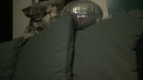 Snapshot of queendelaranch chatting on September 2025 07:04:01 PM Queen De La Ranch online show from September 2025 07:04:01 PM