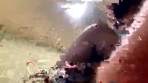 Kourtney online show from November 2025 07:37:01 PM