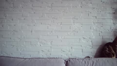 Snapshot of queenofmodels chatting on November 2025 06:08:01 AM QueenOfModels online show from November 2025 06:08:01 AM