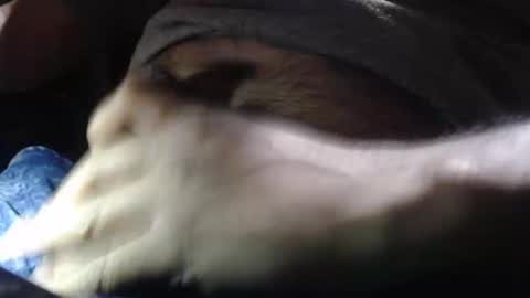 oilypanda online show from December 2024 11:28:02 PM