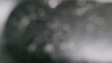 Snapshot of r9dima1998 chatting on January 2025 07:06:01 PM Dmitry online show from January 2025 07:06:01 PM