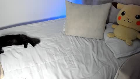 natalia  -  online show from January 2025 09:30:02 AM