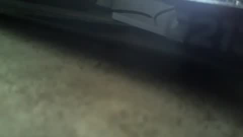 Snapshot of radeon06 chatting on January 2025 12:10:01 PM Radeon06french online show from January 2025 12:10:01 PM
