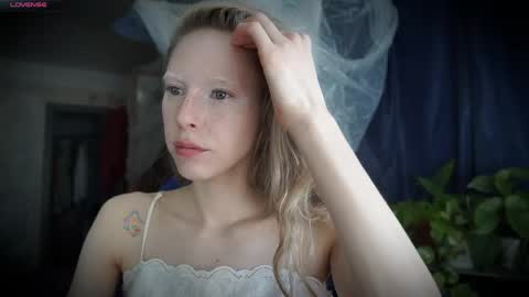 ada online show from June 2026 11:35:01 AM