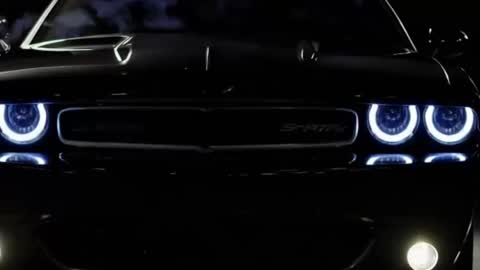 rah_8151 online show from January 2025 05:30:01 PM