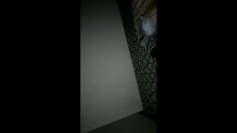 randallcody15 online show from October 2025 11:24:02 PM