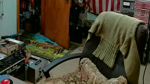 Randall online show from February 2025 07:58:01 PM