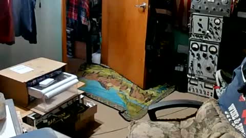 Randall online show from September 2025 01:44:02 PM