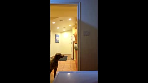 randmorty4 online show from January 2026 04:28:01 AM