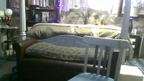Randy8inbater online show from May 2026 08:10:02 AM