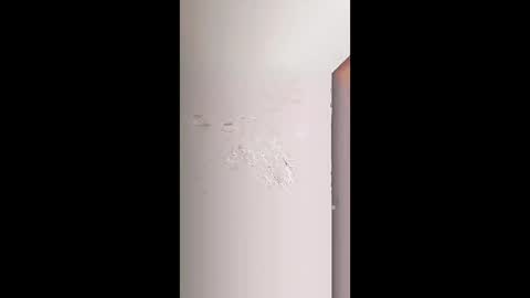 rara_molly online show from February 2026 07:23:01 AM